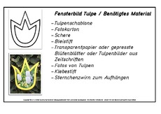 Fensterbild-Tulpe-Bastelanleitung.pdf